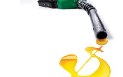 Giá xăng dầu, gas ổn định đến hết tháng 9