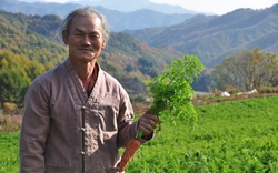 Nhà nông tài ba ở Incheon và thu nhập hàng &#34;khủng&#34;