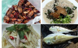 10 món ăn tuyệt hảo mà nguy hiểm của người Việt