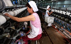 Việt Nam có thể giảm lệ thuộc kinh tế vào Trung Quốc