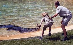 Cậu bé  liều mình “giỡn” mặt cá sấu để…mừng sinh nhật