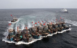 Trung Quốc tăng lượng tàu cá vào vùng biển Việt Nam