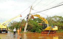 Doanh nghiệp cần làm gì để ứng phó thiên tai?