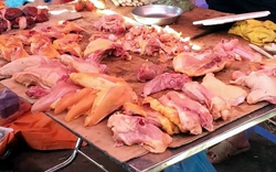 Phát hãi thịt gà chảy nước 25.000 đồng/kg khắp chợ Hà Nội