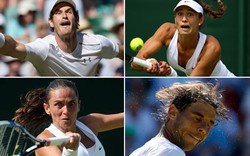 Nhìn lại những khuôn mặt hài hước nhất Wimbledon