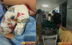 TQ: Thò tay vào chuồng hổ, bé 2 tuổi bị cắn đứt cánh tay