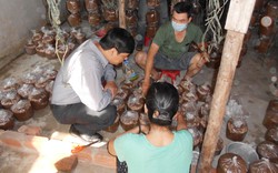 Đà Nẵng: Nông dân truyền nghề cho nhau