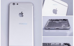 iPhone 6S lộ bản thiết kế chi tiết, dày hơn iPhone 6