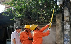 Ghi tăng số công tơ điện: &#34;Do nhân viên đánh máy nhầm&#34;