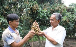 Thu 2 tỷ đồng/năm nhờ nhãn Ido