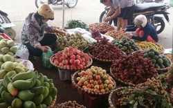 Người dân sợ "hàng Tàu", hoa quả Thái Lan tràn ngập Hà Nội