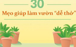 30 mẹo vặt giúp bạn làm vườn “dễ thở” hơn