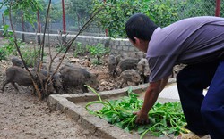 Nhà khoa học và doanh nghiệp - bạn đồng hành để nhà nông đi xa