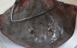 Về Rạch Giá thưởng thức cá đuối hấp bắp chuối cơm mẻ