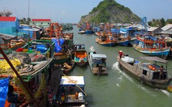 Phóng sự ảnh: Thăm chợ cá sôi động trên Đảo Ngọc