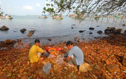 Khám phá Hòn Nghệ nơi biển trời phía Tây Tổ quốc