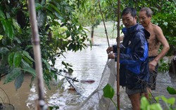 Mưa lũ ở Quảng Ninh: Dành dụm nhiều năm, trắng tay sau vài giờ