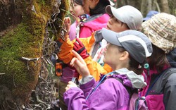 Phụ nữ Nhật rộ mốt ngắm rêu để xả stress