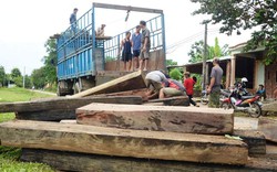 Trục vớt khối lượng lớn gỗ lậu giấu dưới dòng sông