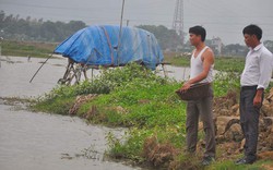 Thủ lĩnh nông dân 8X "ghi điểm" với dự án lúa - cá hàng trăm triệu