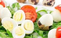 Trứng chim cút – thuốc quý chữa bách bệnh