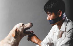 Quang Đăng bịt miệng, kêu gọi ngừng ngược đãi loài chó