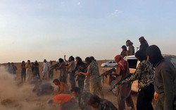 IS xử bắn 300 công chức Iraq trong một ngày