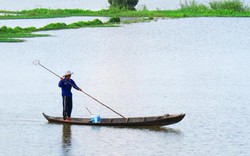 Săn "lộc trời" rắn mối trong mùa mưa