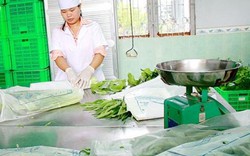 Xây dựng chuỗi cung ứng nông sản công nghệ cao