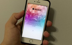 iOS 8.4.1 chính thức ra lò, tập trung sửa lỗi Apple Music