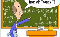 Truyện tranh: Học hè và những phát hiện