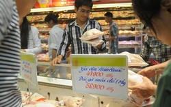 Mỹ có dịch cúm, sao gà vẫn vào được Việt Nam?