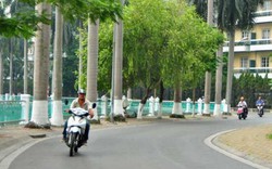 Ngắm phố mới mang tên Nguyễn Đình Thi, Trịnh Công Sơn ở HN