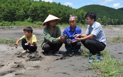 Vụ đất đá vùi lấp ruộng của dân ở Hoành Bồ, Quảng Ninh: Chủ tịch tỉnh chỉ đạo xử lý