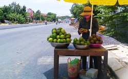 Không ai mua, nông dân đem bơ ra Quốc lộ 1A rao bán