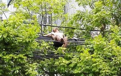 Nam thanh niên cởi trần trèo lên đường dây điện nằm chơi
