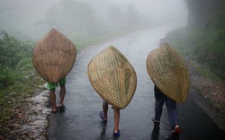 Nơi ẩm ướt nhất Trái Đất