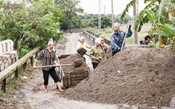 Quãng Ngãi: Tập huấn xây dựng nông thôn mới