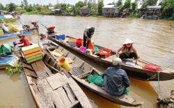 Thăm chợ cua, cá đồng lớn nhất miền Tây mùa nước lũ