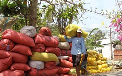 Khó khăn trong xuất khẩu gạo: Tụt lùi do độc quyền tập thể