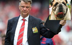 Học trò sợ HLV Van Gaal vì có khuôn mặt giống… chó Bull