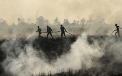 Cháy rừng ở Indonesia khiến hàng nghìn người Malaysia, Singapore ngã bệnh