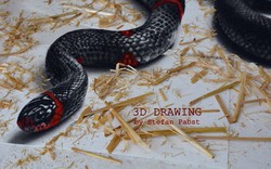 Video: Phát hoảng chạm mặt rắn 3D như thật