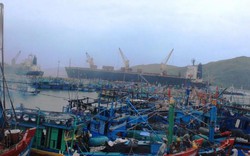 Bình Định: Cứu 3 ngư dân rơi xuống biển, lênh đênh nhiều giờ