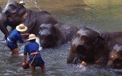 12 điểm du lịch hấp dẫn tại Thái Lan du khách hay bỏ lỡ