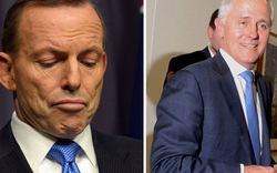 Bật mí về người đánh bại Thủ tướng Úc Tony Abbott trong chớp nhoáng