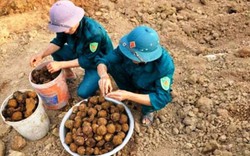 Hàng chục quả bom bi “lộ thiên” sau trận mưa lớn