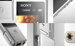 Sony hồi sinh máy nghe nhạc Walkman