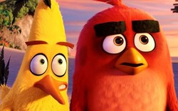 "Angry Birds" hé lộ bộ ảnh đáng yêu về hội chim cáu kỉnh