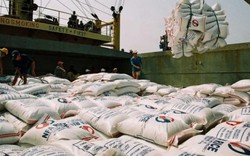 Vì sao xuất khẩu gạo sang Trung Quốc sụt giảm?